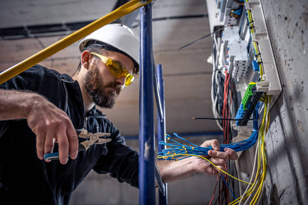 Best Electrical Repair Services  in Perry, MI