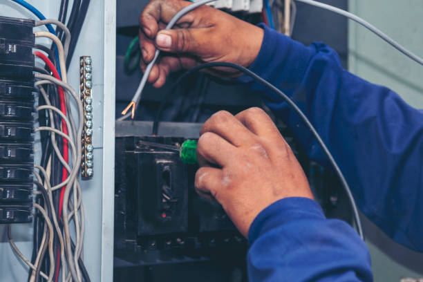 Best Licensed Electrician  in Perry, MI