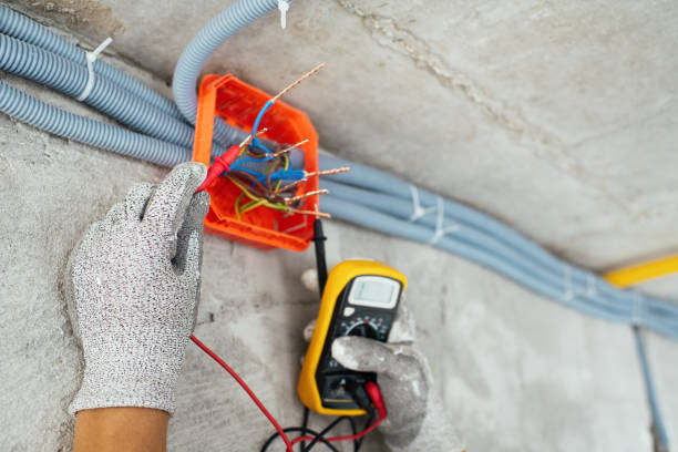 Best Affordable Electrician  in Perry, MI